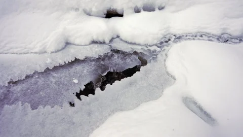 Forest stream in the snow Stock Footage 265086593