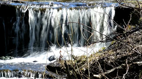 Forest stream in spring Stock Footage 37311765