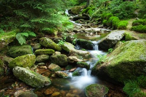 A forest stream with stones in the Jizera Mountains Stock Photos