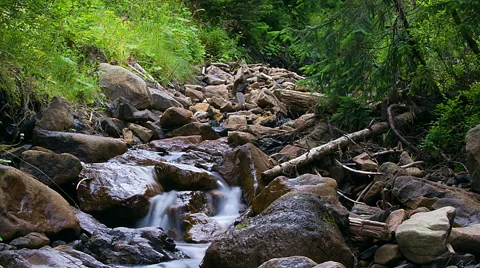 Forest stream with stones time lapse Stock Footage 68923085