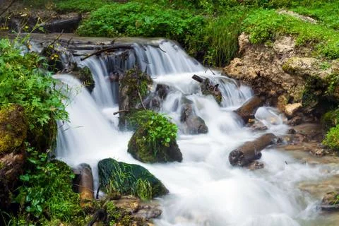 Forest stream surrounded by vegetation running over rocks Stock Photos