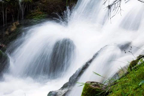 Forest stream surrounded by vegetation running over rocks Stock Photos