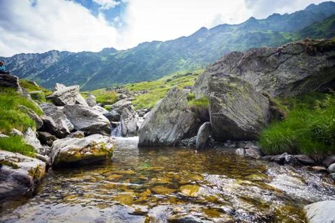 Forest stream surrounded by vegetation running over rocks Foto stock