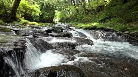Forest Stream Tiered Cascade over Rock Ledges, Izu, Japan (4K) Stock Footage 341364856