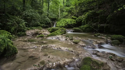 Forest Stream Time Lapse Stock Footage 40770577