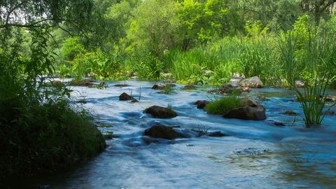 Forest stream time lapse Stock Footage 72652788