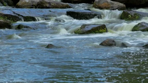 Forest stream time lapse Stock Footage 73552396