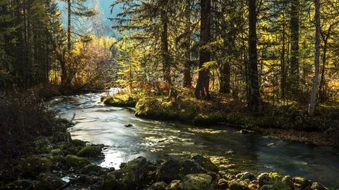 Forest stream time lapse, green mossy rocks Stock Footage 77175146
