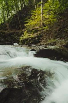 Forest stream water flowing between rocks in natural landscape Stock Photos
