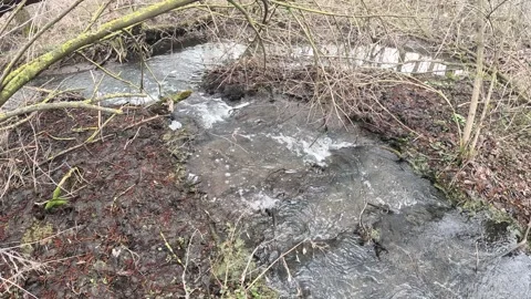 Forest stream water flowing over rocks in spring forest Stock Footage 332866104