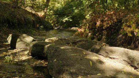 Forest stream. Water passes through the cobblestones. Stock Photos