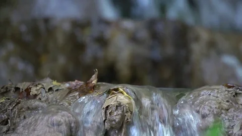 Forest stream waterfall 4 Stock-Footage 73268155