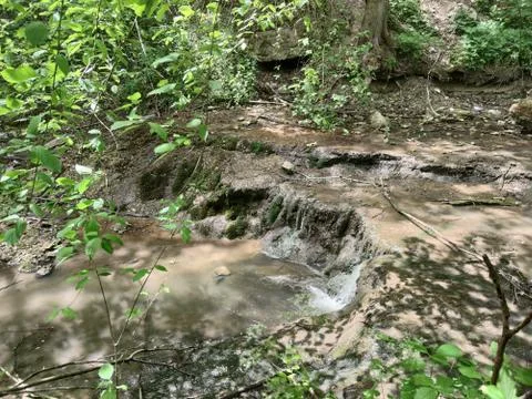 Forest stream with a waterfall among gray stones. On the stones are yellow and Stock Photos