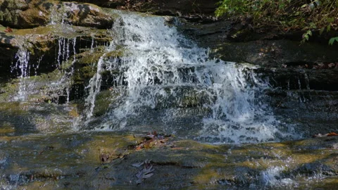Forest stream waterfall cascading over wet, moss covered stones. Wild mount.. Stock Footage 331727790