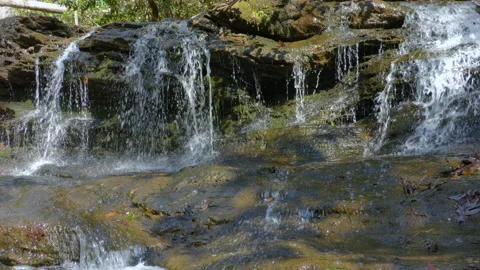 Forest stream waterfall cascading over wet, moss covered stones. Wild mount.. Stock Footage 331728217