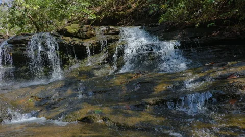 Forest stream waterfall cascading over wet, moss covered stones. Wild mount.. Stock Footage 331729469