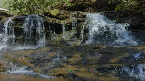 Forest stream waterfall cascading over wet, moss covered stones. Wild mount.. Video stock 331729962
