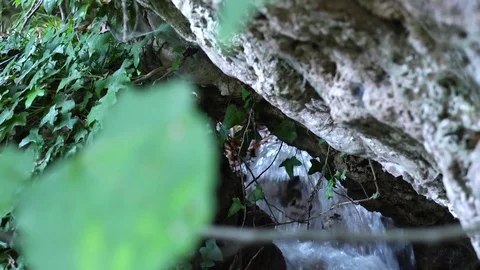 Forest stream waterfall Video stock 73268139