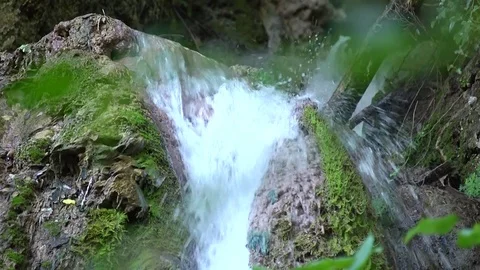 Forest stream waterfall Stock Footage 73268171
