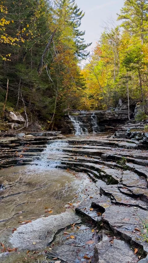Forest stream waterfall over layered rocks in autumn Stock Footage 343558790