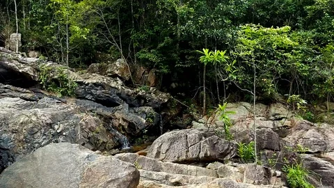 Forest Stream. Waterfall Tropical jungle, wild nature. Beautiful waterfall, w Stock Footage 126245953