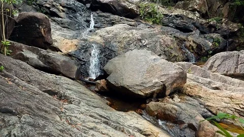 Forest Stream. Waterfall Tropical jungle, wild nature. Beautiful waterfall, w Stock Footage 126246136