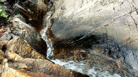 Forest Stream. Waterfall Tropical jungle, wild nature. Beautiful waterfall, w Stock Footage 126246752