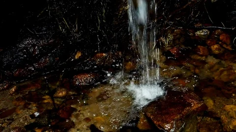 Forest Stream. Waterfall Tropical jungle, wild nature. Beautiful waterfall, w Stock Footage 126247019