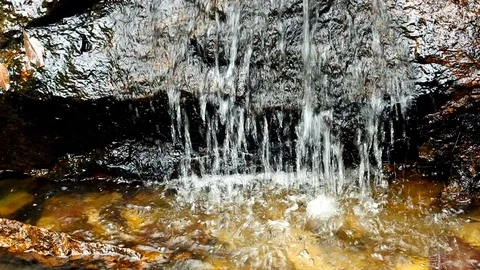 Forest Stream. Waterfall Tropical jungle, wild nature. Beautiful waterfall, w Stock Footage 126247464