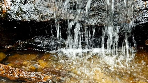 Forest Stream. Waterfall Tropical jungle, wild nature. Beautiful waterfall, w Stock Footage 126247477