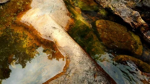 Forest Stream. Waterfall Tropical jungle, wild nature. Beautiful waterfall, w Video stock 126247632