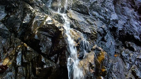 Forest Stream. Waterfall Tropical jungle, wild nature. Beautiful waterfall, w Video stock 126252003