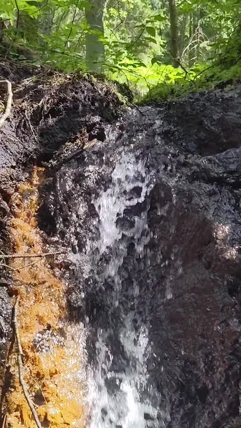 Forest stream. Waterfall. Vertical video. Stock Footage 197623589