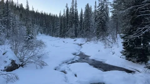Forest stream in winter Stock Footage 301005173