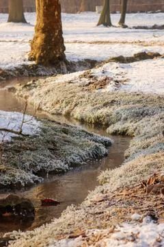 Forest stream in winter Stock Photos