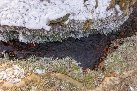 Forest stream in winter Stock Photos