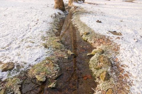 Forest stream in winter Stock Photos
