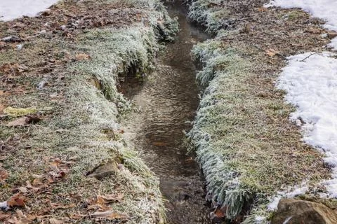 Forest stream in winter Stock Photos