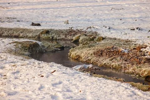 Forest stream in winter Stock Photos