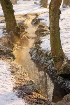 Forest stream in winter Stock Photos
