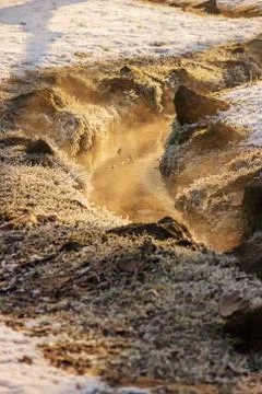 Forest stream in winter Stock Photos