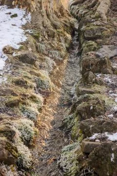 Forest stream in winter Stock Photos