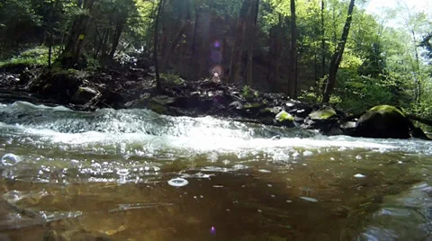 Forest Stream WormsEye 1 Stock Footage 35572582