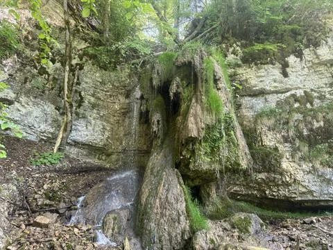 Forest streams and small waterfalls in a lush green woodland landscape Stock Photos
