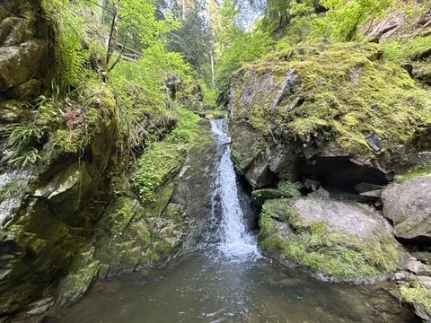 Forest streams and small waterfalls in a lush green woodland landscape Stock Photos