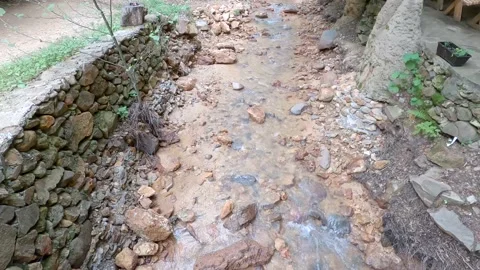 Forest streams Stock Footage 139931110