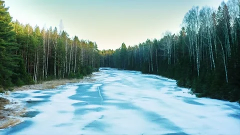 Forest Stream's Winter Prelude, Emerging Ice Amidst Pine and Past Seasons Stock Footage 257780403