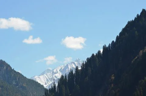 Forest stretching to distant snow-capped peaks. Stock Photos