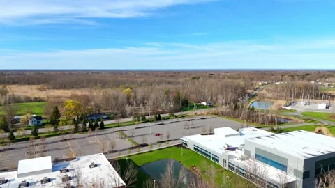Forest Stretching - Syracuse, NY Video stock 336591778