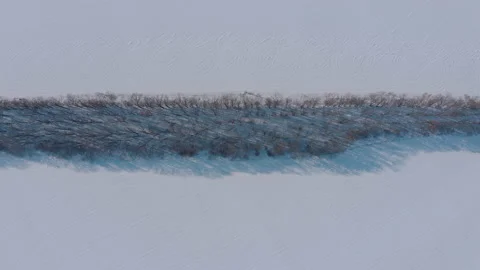 Forest strip protecting the field from soil erosion Stock-Footage 148944330